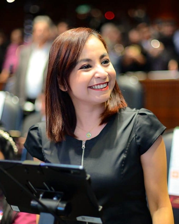 Iraís Reyes, Diputada del Movimiento Ciudadano