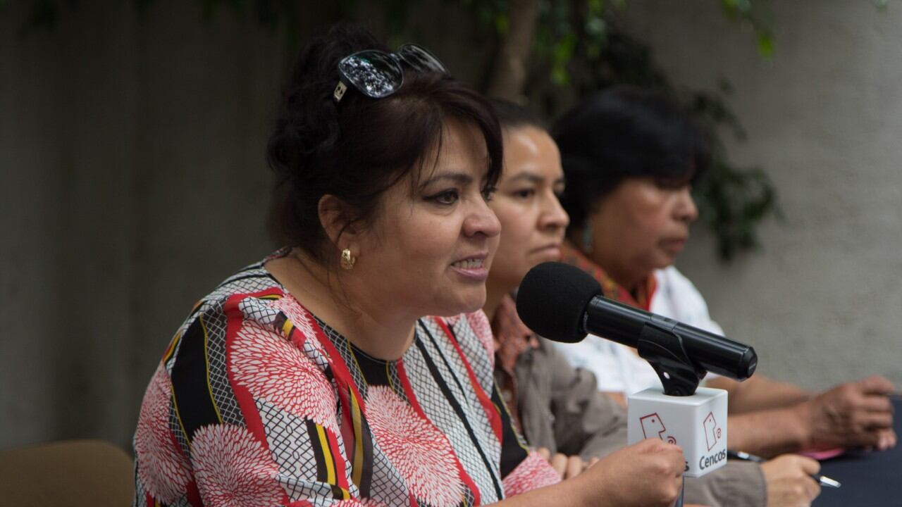 Nestora Salgado buscará libertad de presos políticos