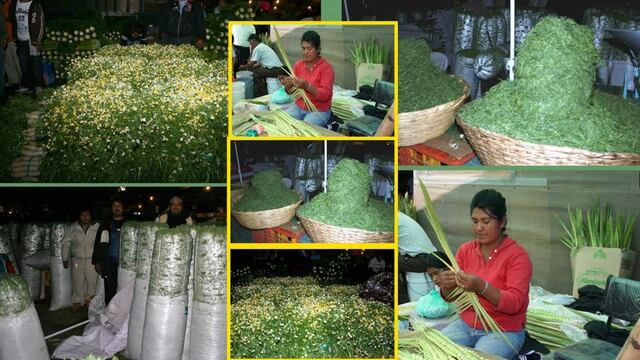 Romerías de Semana Santa.