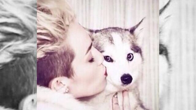 Miley Cyrus y su perro Floyd