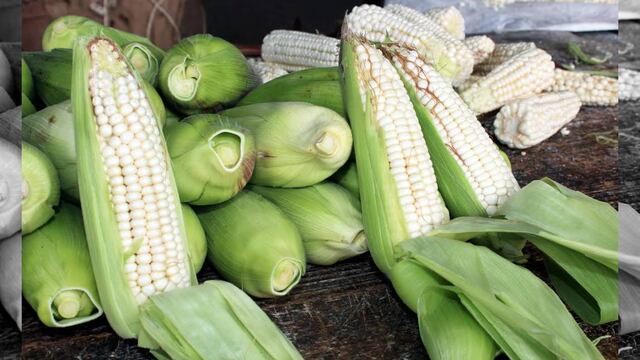 Inicia en la Central de Abasto romería del Elote Cacahuazintle
