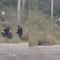El video de policías de tránsito golpeando a trailero en Ciénega de Flores, carretera a Nuevo Laredo