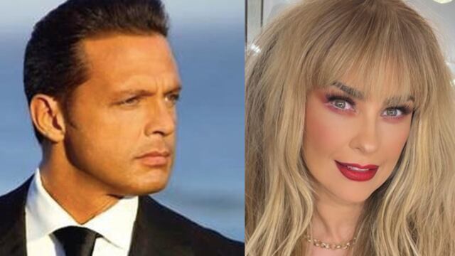 Luis Miguel, Aracely Arámbula