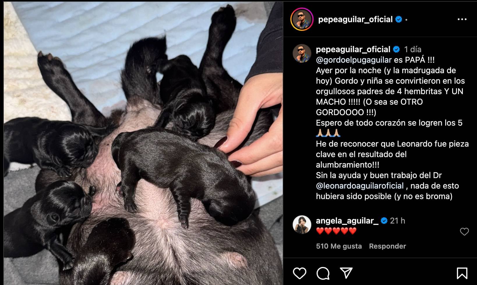 Pepe Aguilar anuncia el nacimiento de los hijos de su 'hijo favorito'