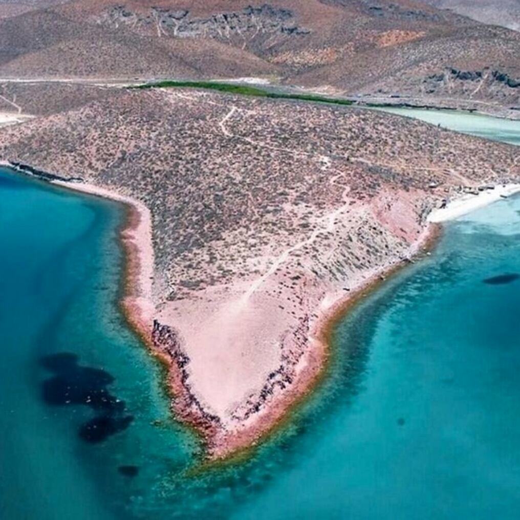 Greenwashing para una ciudad privada en Punta Colorada