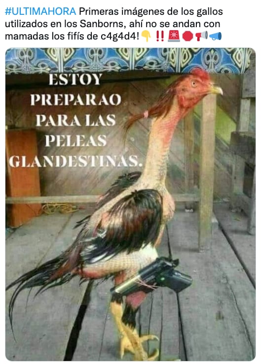 Memes sobre las peleas de gallo en Sanborns