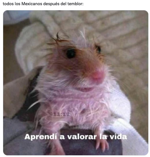 Memes por sismo en CDMX
