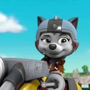 Fondo de Gasket de Paw Patrol