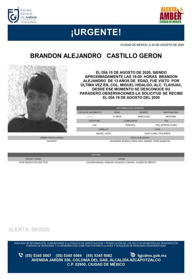 Ficha de búsqueda de Brandon