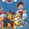 Tenis de Paw Patrol: 6 modelos que puedes comprar al mejor precio