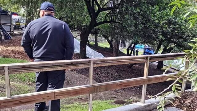 Lago de Chapultepec donde se realizó el hallazgo