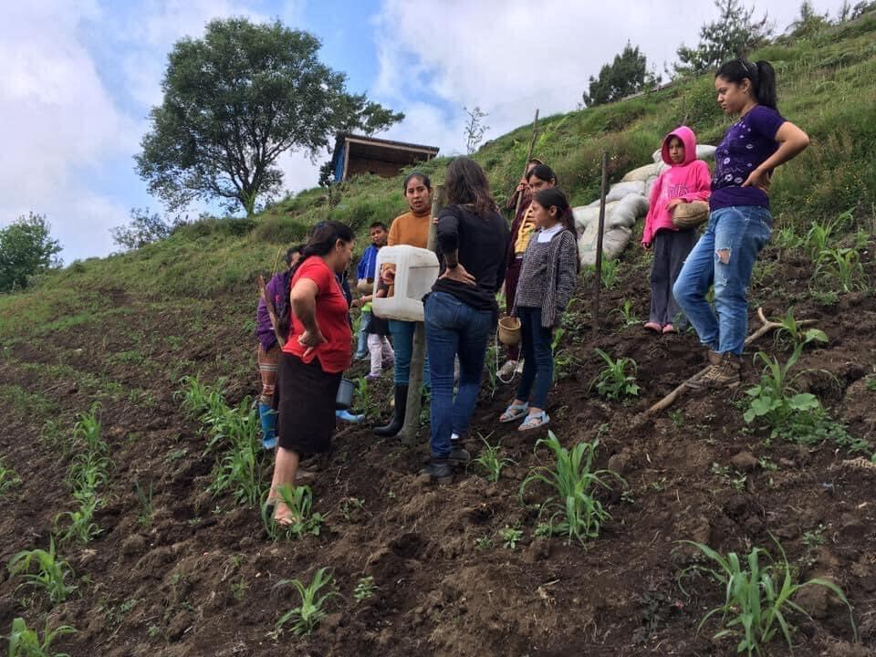 Mónica y la cooperativa Quince Mujeres