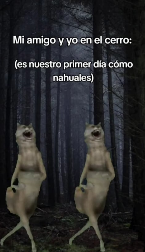 Meme de TikTok "ijbiñij"