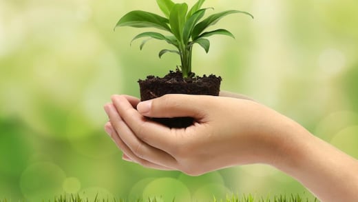 Las infancias nos están dando una gran lección