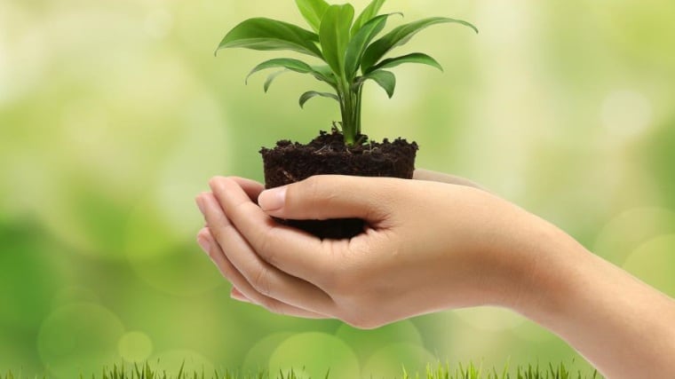 Las infancias nos están dando una gran lección