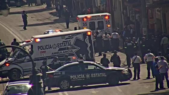 Los caballos son parte de la Policía Montada.