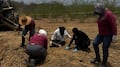 Localizan a dos hermanos de Querétaro en una fosa clandestina en Sinaloa