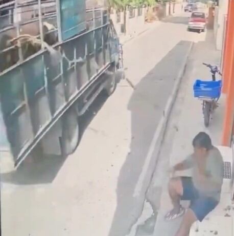 Una vaca le hizo popó encima y sólo le quedó reír con toda la cara embarrada