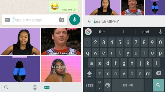 Buscador de GIFs en WhatsApp.
