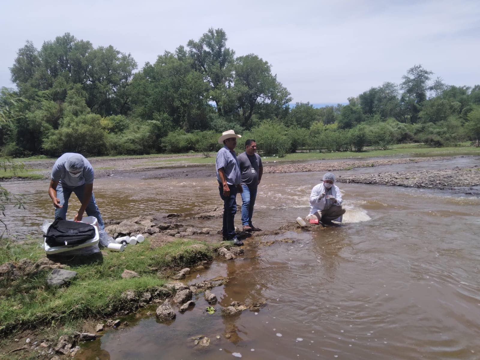 Mortandad de peces en Río Yaqui, Sonora