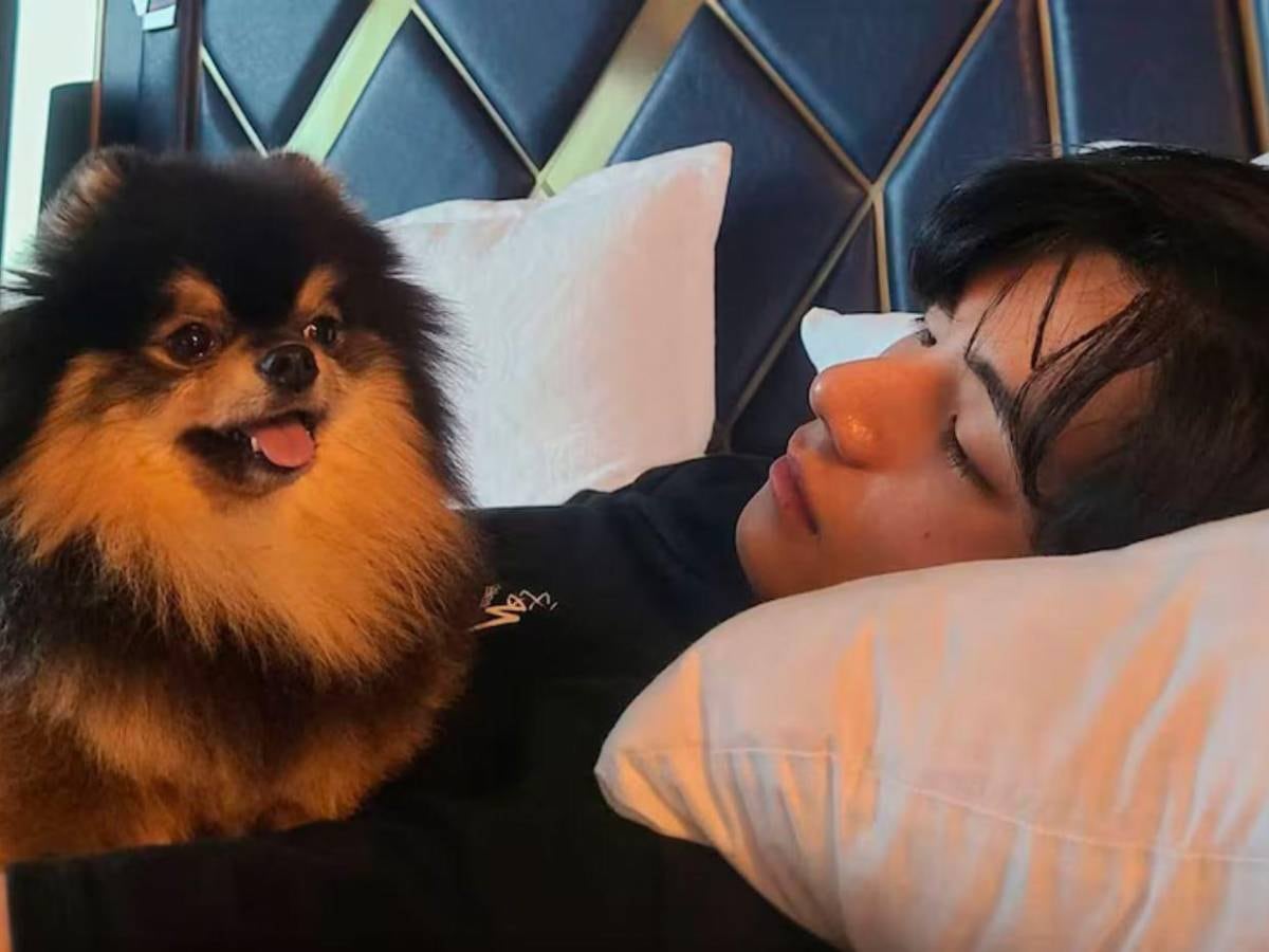¿Quién es Yeontan? Kim Taehyung de BTS revela que murió su amado perro