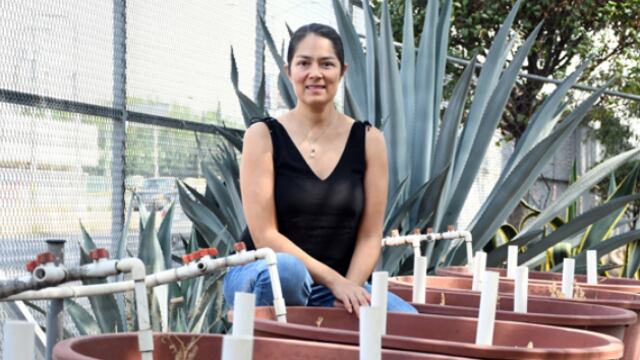 Instalan 6 humedales en planta de tratamiento de BUAP