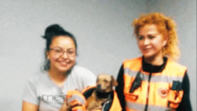 El perrito fue localizado desde el pasado 5 de noviembre.