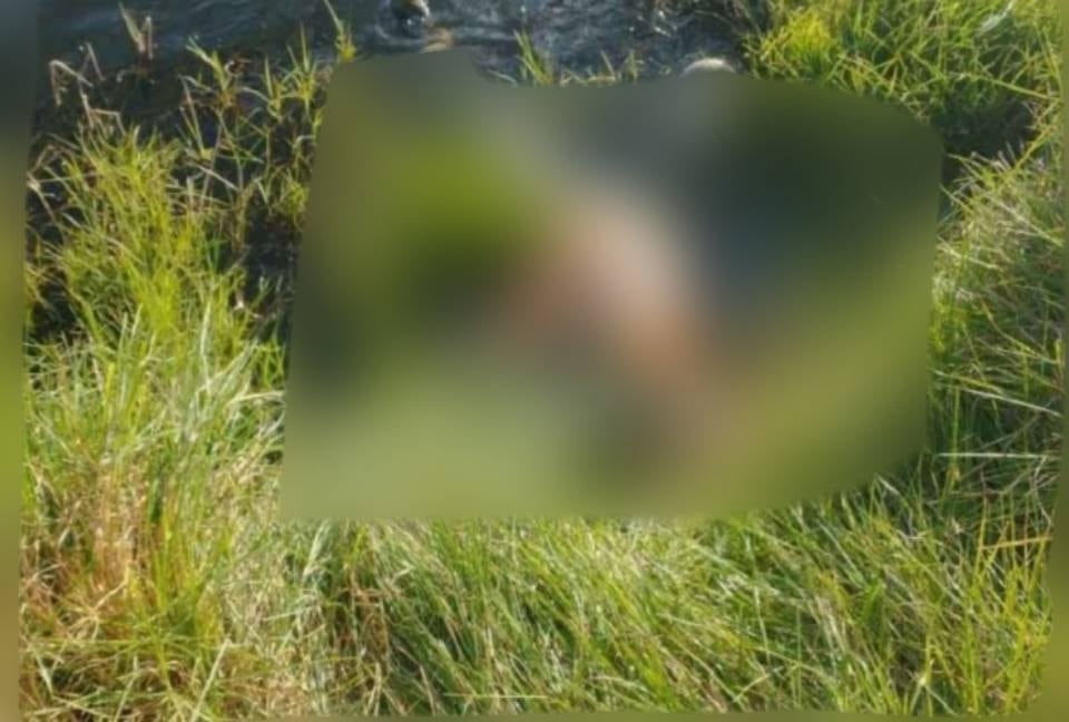 Mitzi Rosales es localizada sin vida en Almoloya de Juárez