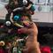 VIDEO: dinosaurio irrumpe en árbol de Navidad del Senado y deja regalo