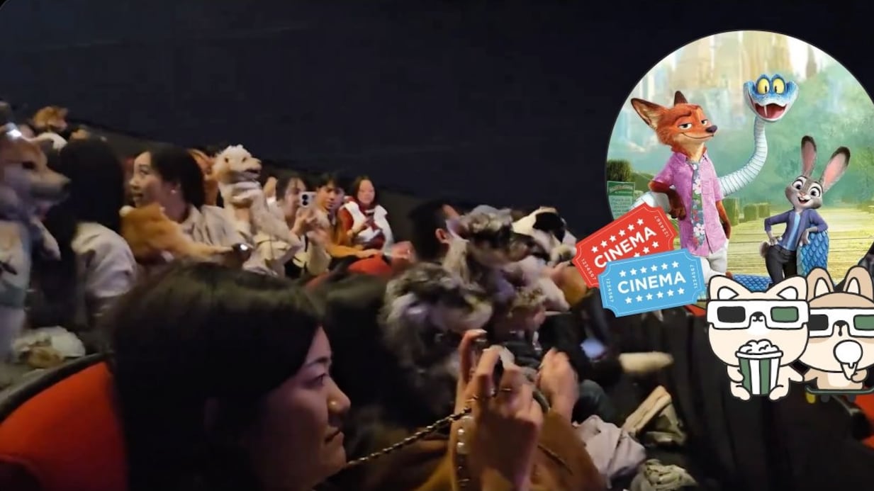 La tierna iniciativa en China: cines permitieron la entrada de mascotas por el estreno de Zootopia 2