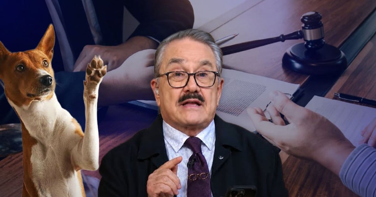 Pedro Sola enfrenta denuncia por comentarios sobre maltrato animal