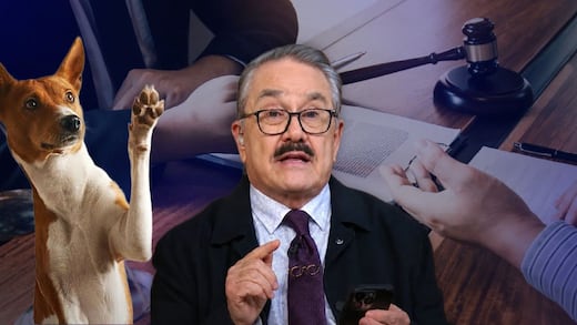 Pedro Sola enfrenta denuncia por comentarios sobre maltrato animal
