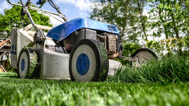 Ofrece sus servicios de ardería a cambio de estar desnudo en el patio