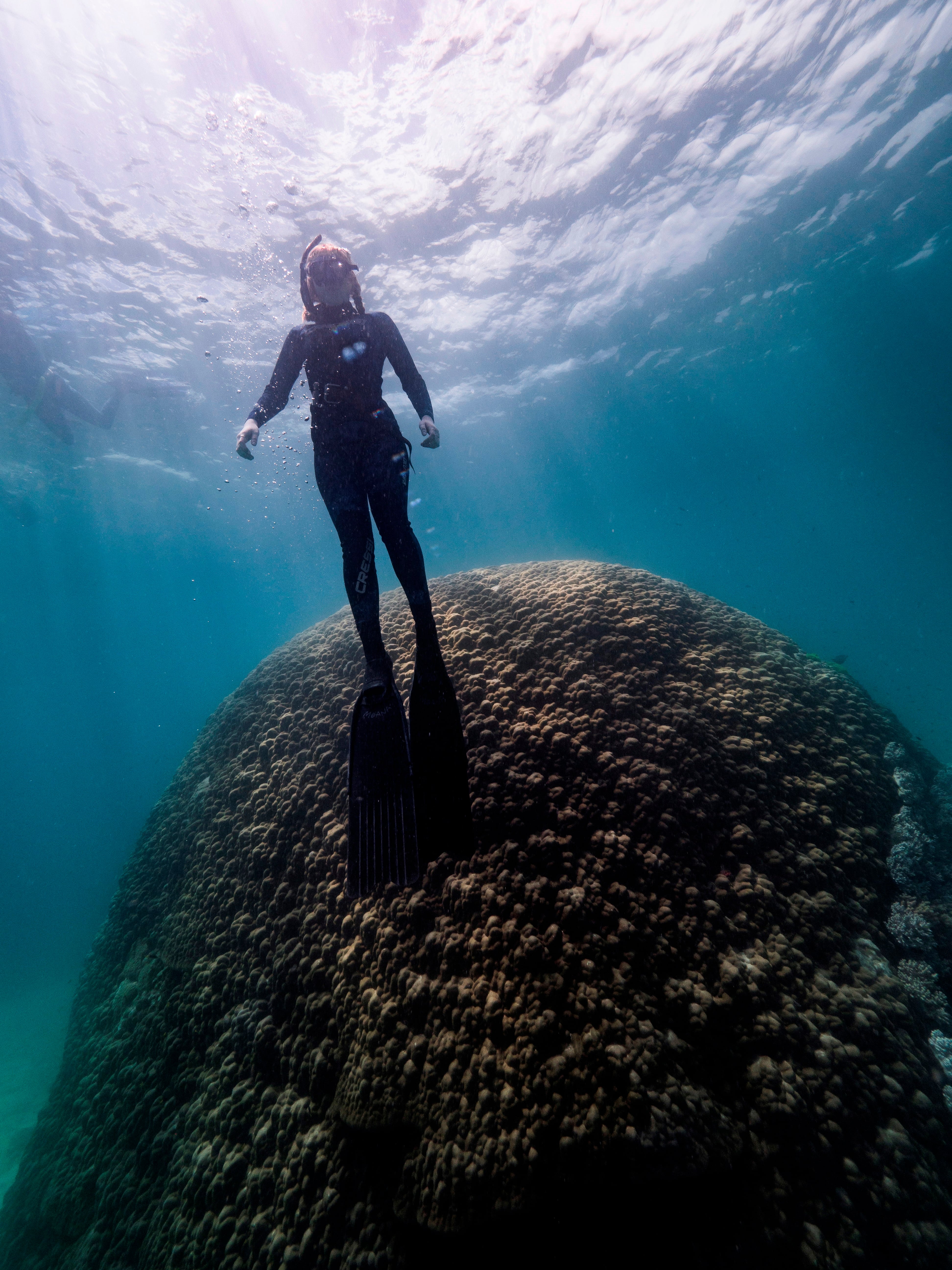 Coral de más de 400 años