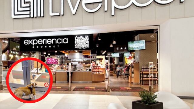 discriminan a perrito en Liverpool por "gordito"