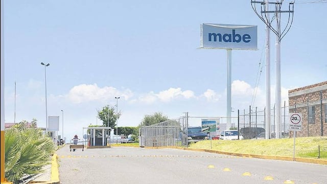 Planta de Mabe.