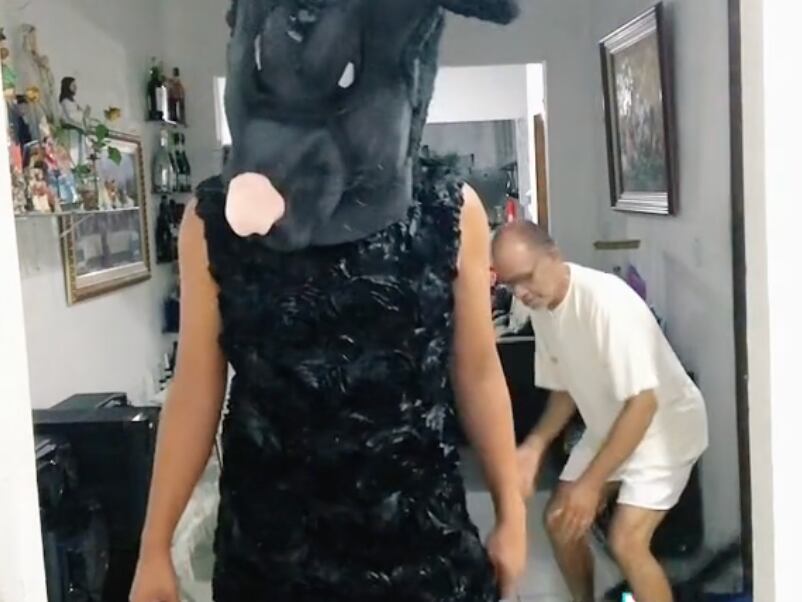 Video del ratón gigante que asusta a un gato