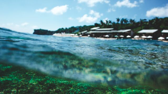 ¿Qué es el oxígeno negro? Fenómeno encontrado en el Océano Pacífico