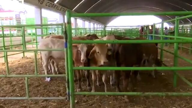 El mercado en donde "se puede encontrar de todo".