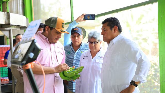 Finca “Las Lilias” impulsa producción de banano en Tabasco