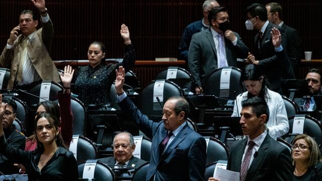 Diputadas y diputados