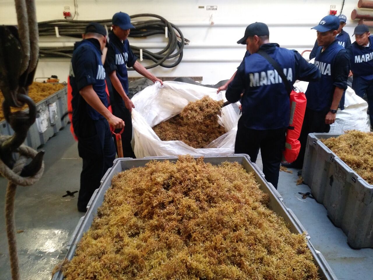 Marinos retirando sargazo de playas. Ilegal su venta.
