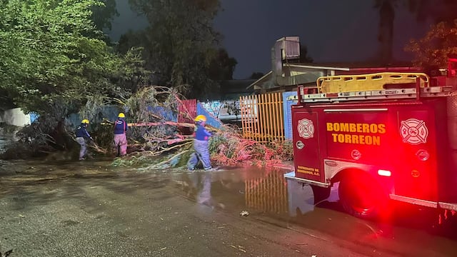 La Dirección de Protección Civil y Bomberos de Torreón informó que se atendieron las afectaciones provocadas por las lluvias registradas en la ciudad.