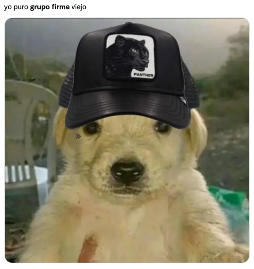 Memes concierto de Grupo Firme