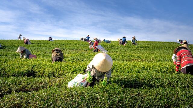 seguridad alimentaria
