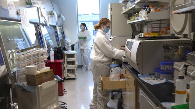 Estudios sobre Covid-19.