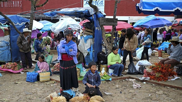 Estos pueden ser caldo de cultivo para enfermedades
