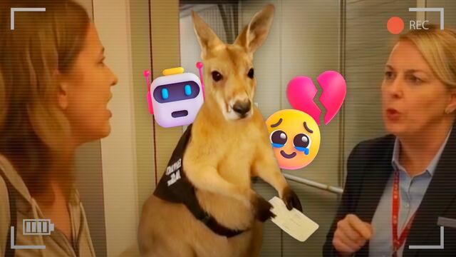 Video del canguro fue hecho con IA