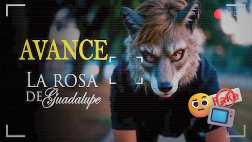 ¿La Rosa de Guadalupe tendrá un capítulo sobre therians? Lo que se sabe