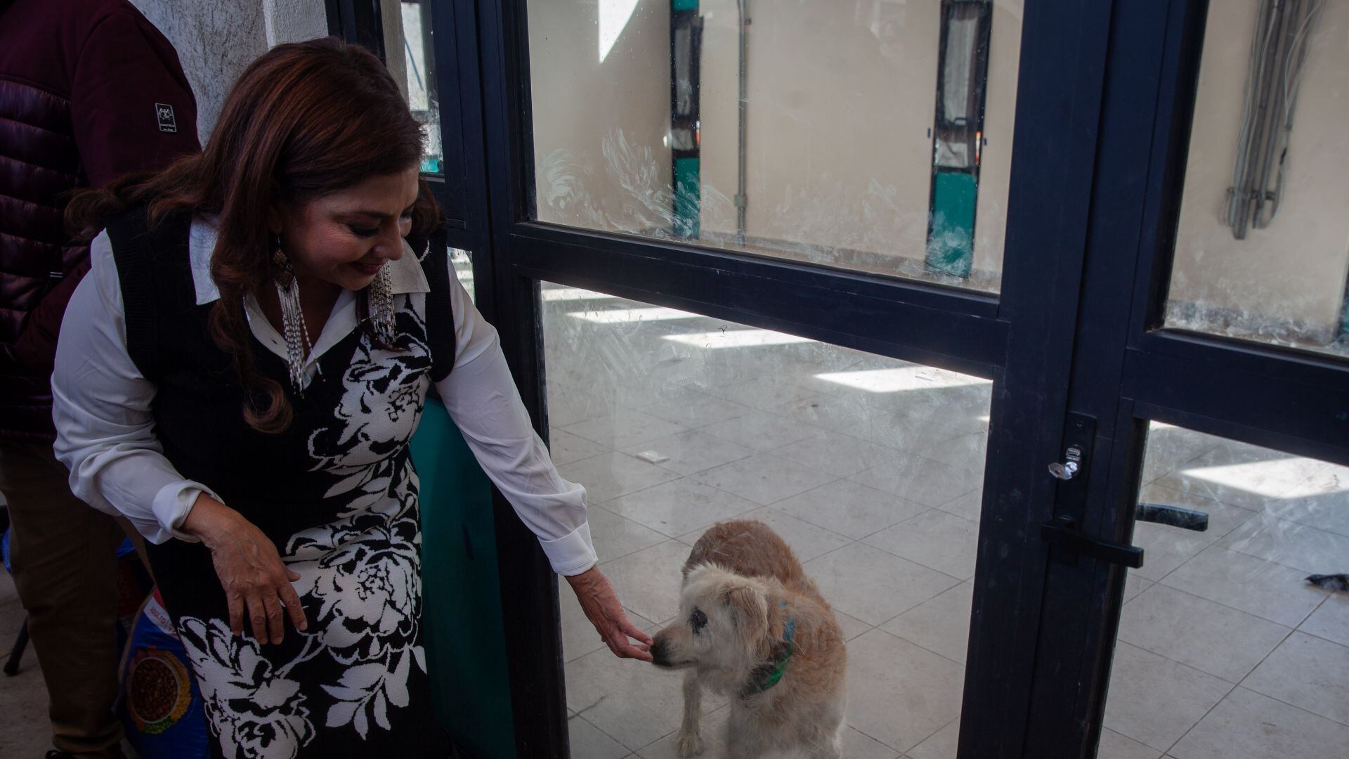 Brugada verifica condiciones de perros rescatados en el Refugio Franciscano